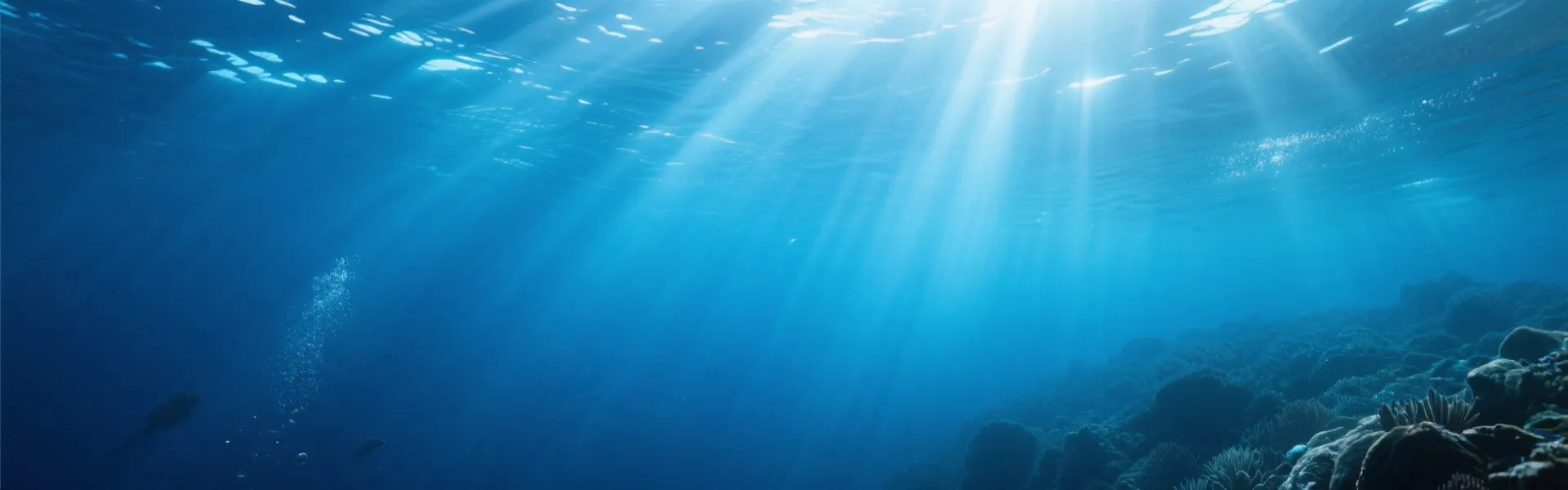 海洋背景